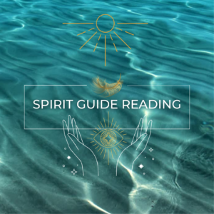 Spirit Guide Reading